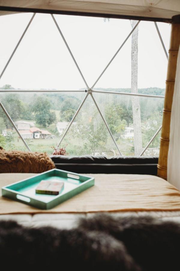 Waterfront Luxury Glamping Dome Hotel Rogersville Kültér fotó