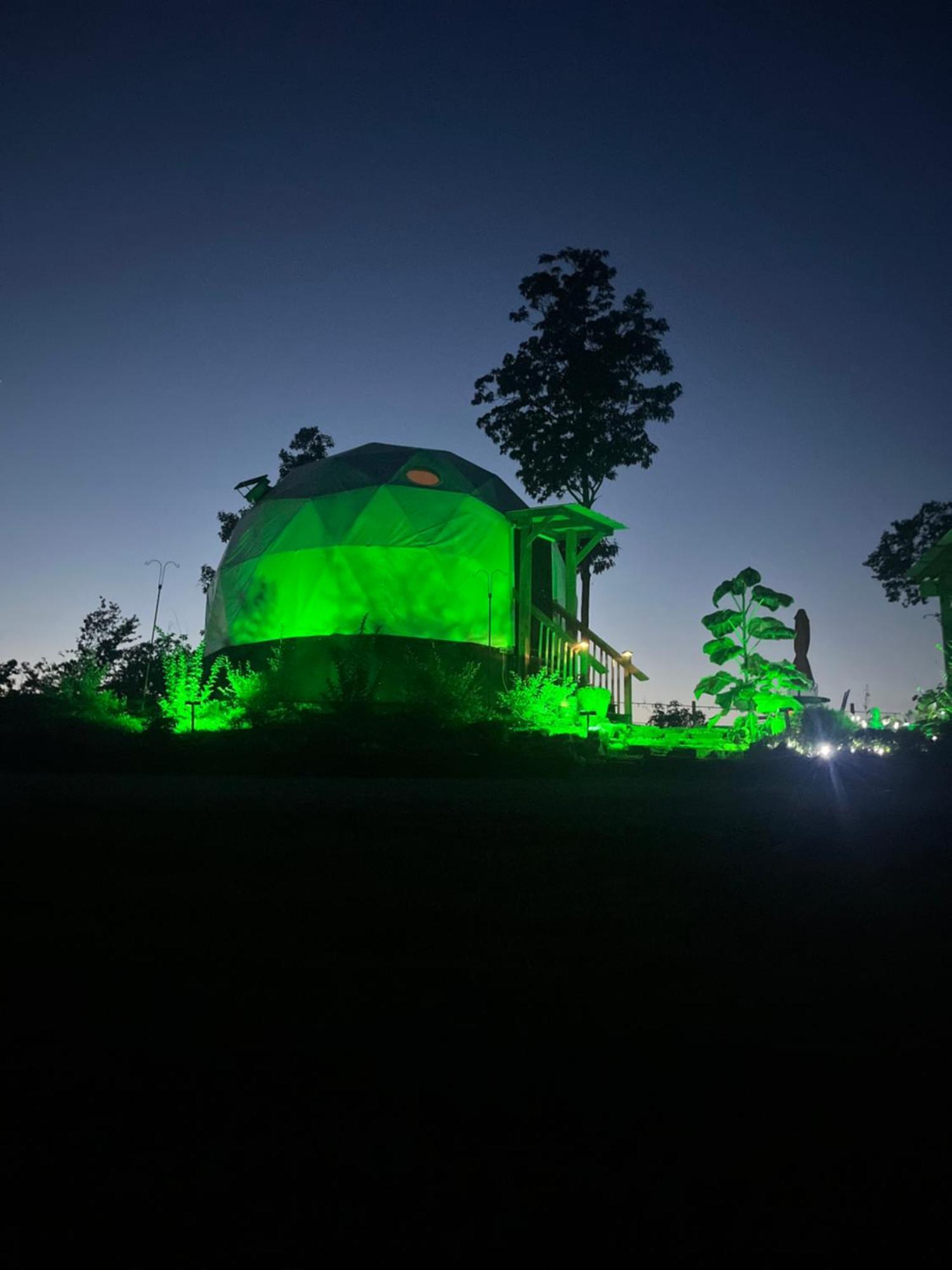Waterfront Luxury Glamping Dome Hotel Rogersville Kültér fotó