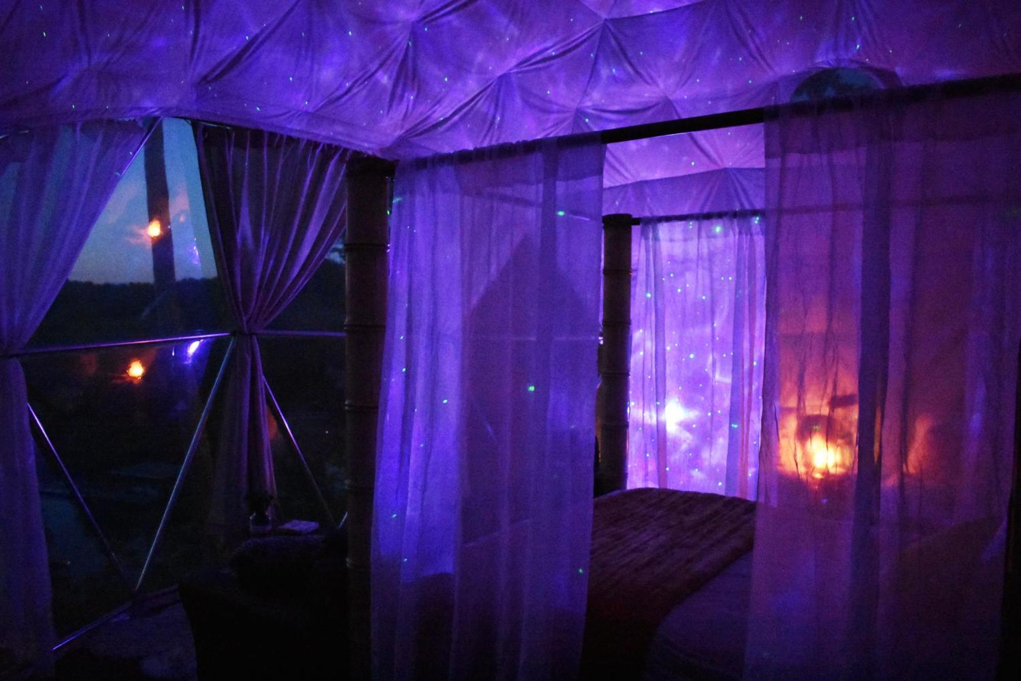 Waterfront Luxury Glamping Dome Hotel Rogersville Kültér fotó